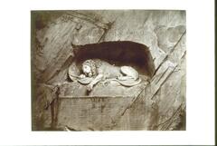 This photograph depicts a sculpture of a slain lion lying in a grotto, carved into a wall of rock.  Above and below the lion is latin text.