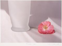 Vase with a pink flower laying down on the surface.