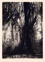 At the center of the lithograph, a tree's black trunk stretches from the bottom to the top of the print. The tree's abstract leaves and branches spread across the top of the print and there is ground cover across the bottom in exagerated texture. Signed (l.r.) "Moore" and numbered (l.l.) "53/150" in pencil.