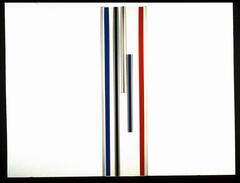 This piece consists of several long, thin clear plexiglass panels with red, black and blue vertical stripes, which have slots in them so they fit together with similar panels to form cross-shaped columnar structures.
