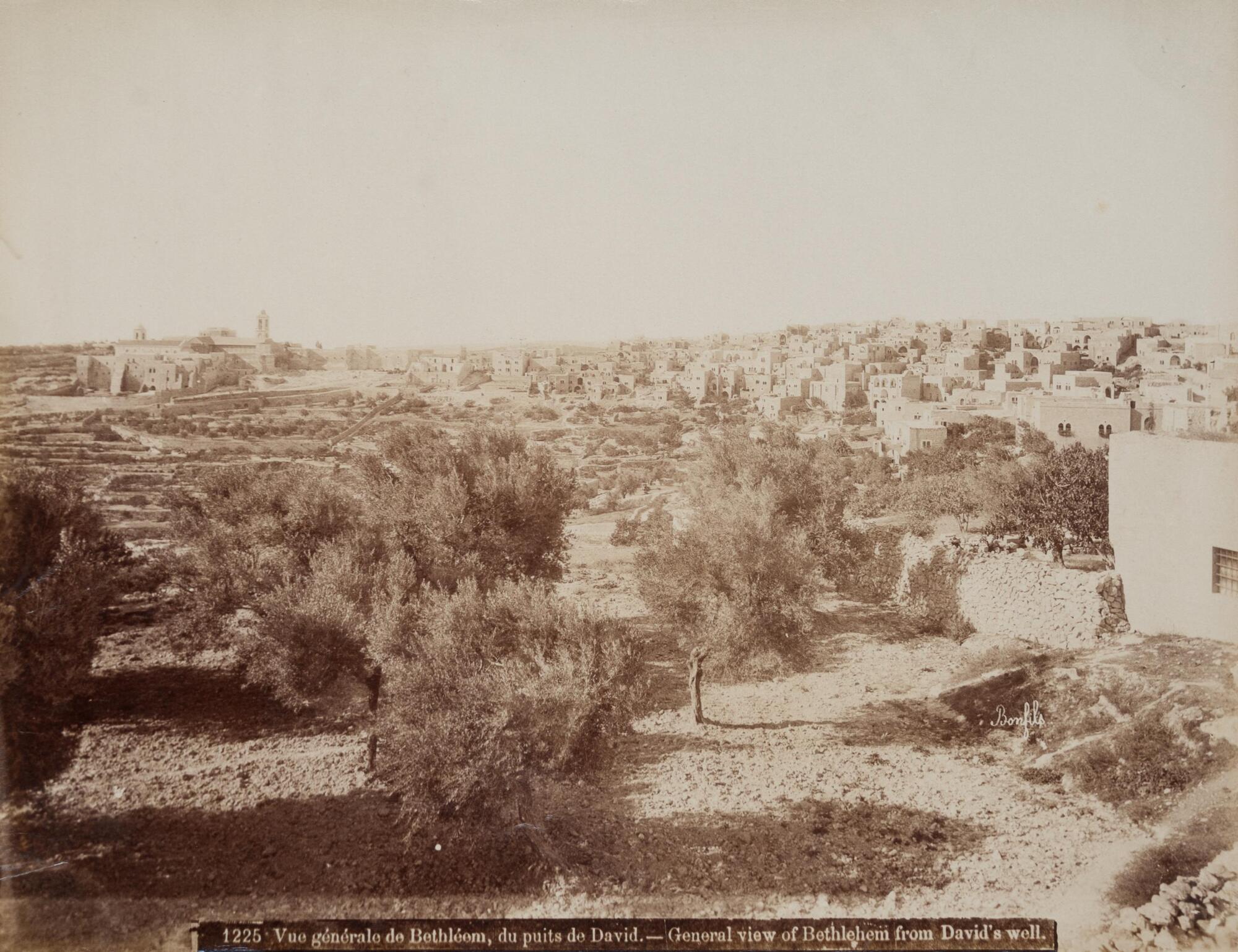 General view of a large town in the distance along a gently curving horizon line; a group of trees stand in the foreground.