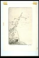 This vertical print shows a tall tree, killed by fire, leaning diagonally from the left lower corner toward the top right corner, over an ocean with gulls flying around.