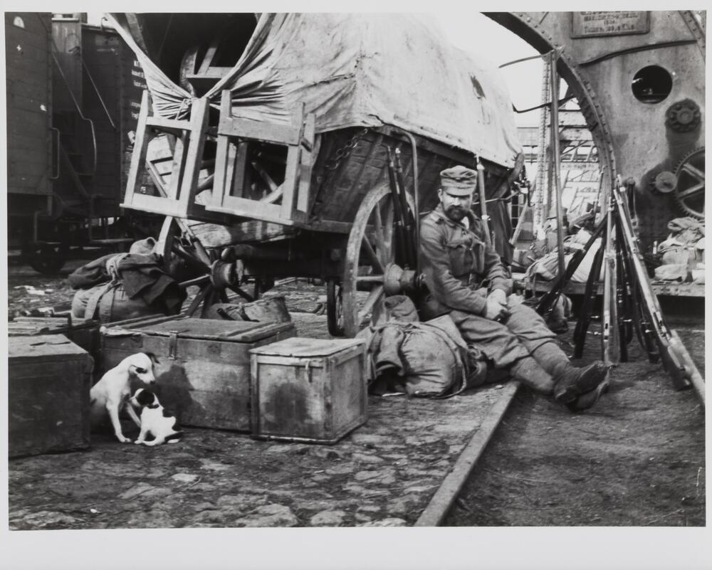 Photograph of a man sitting on the sidewalk next to a covered wagon, surrounded by trunks, satchels, and other objects. The man looks at two puppies in the left foreground of the image.