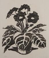 A woodblock print on toned paper.  The image is of four black potted flowers with broad leaves, casting shadows on the pot and the surface on which it stands.
