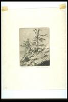 This vertical print shows two wind-blasted dead conifers on a rocky outcropping before an ocean.
