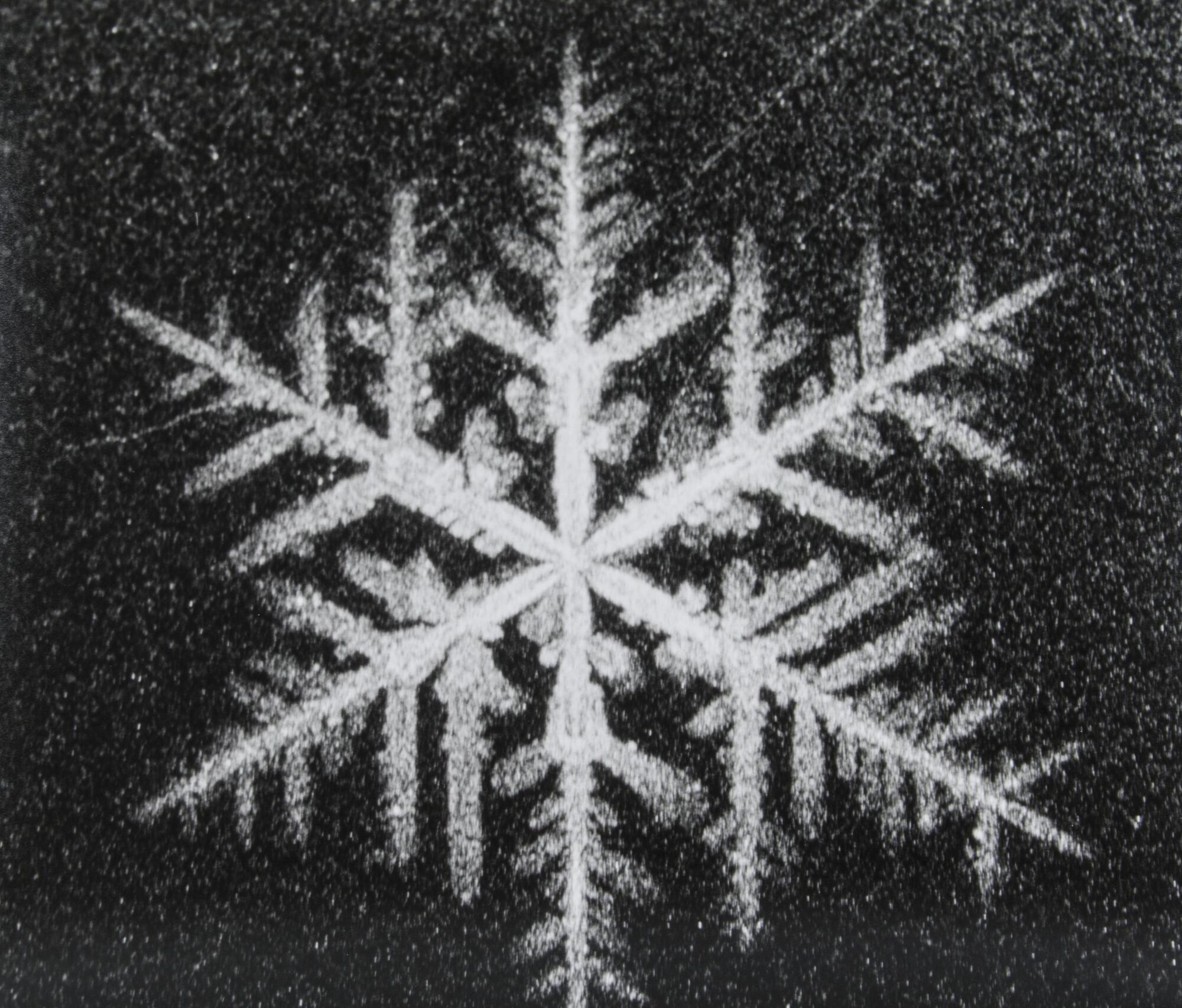 A large white snowflake on a speckled black background.
