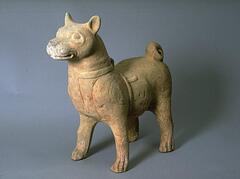 This red earthenware dog sculpture stands at attention with a stocky body on four muscular legs, paws carved to differentiate toes, tail curled up at the hind quarters, its head atop a thick neck, smiling mouth with deep set large eyes and pointed ears, a harness strapped around its powerful chest. Traces of red, black, and white mineral pigment.