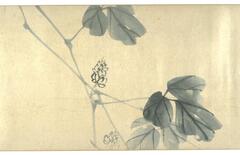 On this handscroll, we see topis that alternate between plants, fish, birds, a&nbsp;moonlit hillside, a seated Hotei, and &quot;a&nbsp;man&nbsp;seated&nbsp;before&nbsp;a large&nbsp;flower&nbsp;pot&nbsp;containing&nbsp;a&nbsp;profusion&nbsp;of&nbsp;lotus&nbsp;leaves.&nbsp;His cap&nbsp;indicates&nbsp;that&nbsp;he&nbsp;is&nbsp;probably&nbsp;a&nbsp;Confucian&nbsp;scholar&nbsp;who&nbsp;is relaxing&nbsp;on&nbsp;a&nbsp;summer&nbsp;day.&quot;&nbsp;<br />
&quot;They&nbsp;are&nbsp;executed&nbsp;with&nbsp;such&nbsp;quick&nbsp;brushwork&nbsp;and&nbsp;slight&nbsp;color&nbsp;that&nbsp;the entire&nbsp;scroll&nbsp;could&nbsp;have&nbsp;been&nbsp;completed&nbsp;at&nbsp;a&nbsp;single&nbsp;sitting.&quot;<br />
<br />
<b id="docs-internal-guid-d79ed4e4-7fff-a8d6-2e74-e4e48165a9a9">Adams, Celeste, and Paul Berry. <em>Heart, Mountains, and Human Ways: Japanese Landscape and Figure Painting: a Loan Exhibition from the University of Michigan Museum of Art.</em> Museum of Fine Arts, 1983.</b>