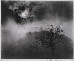 This photograph depicts a hilly landscape enveloped in fog and low-lying clouds. In the foreground stands a black leafless tree.