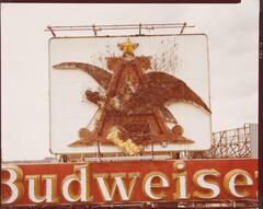 This photograph depicts the Budweiser Building sign in Saint Louis and nearby rooftop buildings during the day.