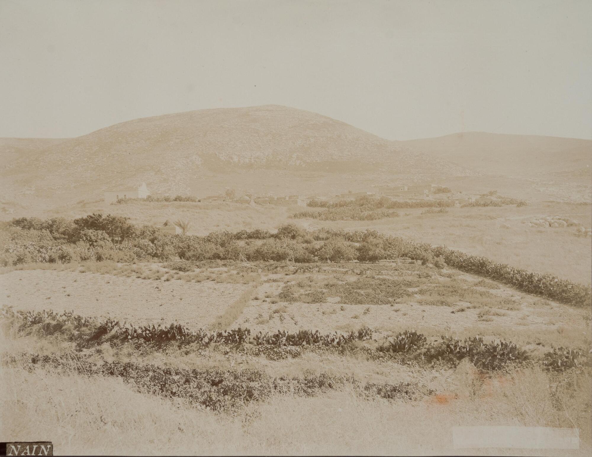 Fields of tall grass, along with trees and other foliage in the foreground recede away from the viewer toward the feet of the hills in the background. Two-thirds up from the bottom of the photograph, a small grouping of flat rooftops suggest a small settlement. 