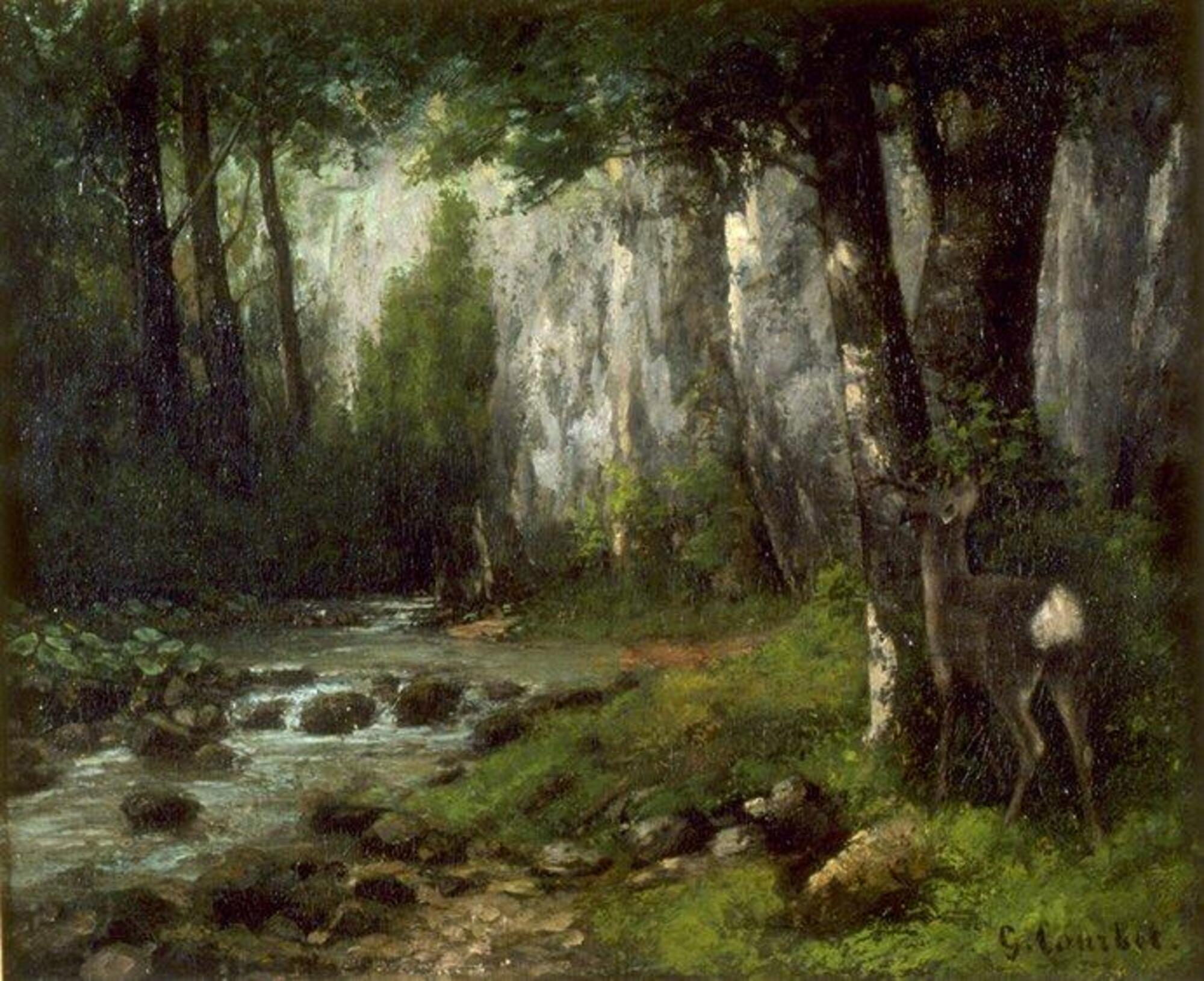 A deer stands in front of a tree, with tail towards the viewer.  There is a creek that runs along the left side of the image.  It is a heavily wooded area with stones in the creek and brighter green grass on the right side.