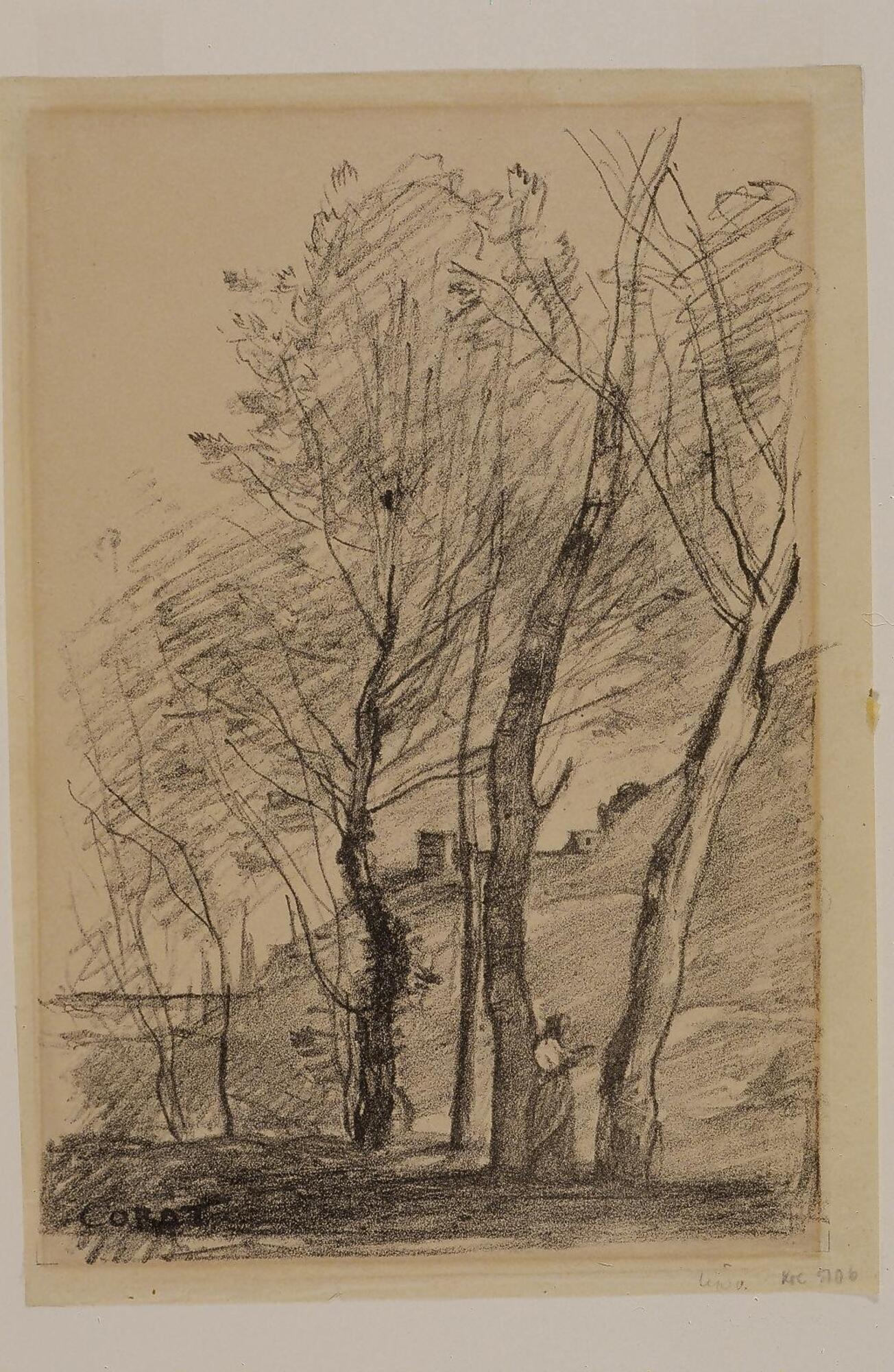 A sketch of a hillside in the background, seen through the trees.  The trees heights are low on the left, leaving the left corner of the image open, and extending taller towards the top of the page as they move right.  Between the far right tree and the second to the right is a woman, about 1/5 the size of the tree she stands against.  About halfway up the trunk, between the same two trees is a square structure with one darkened window in the middle and a dark scribble to the right of it.