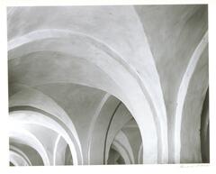 Photograph of intersecting curved plaster arches.