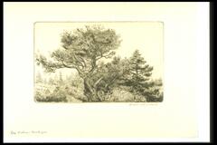 This horizontal print is filled with an old willow whose branches extend to left and right. The large branch on the right meets a coniferous tree, and together they form a canopy over a garden gate and wall. 