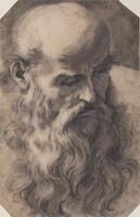 This sheet is dominated by the head of an old man with a voluminous beard, seen in 3/4 view, with head turned to the figure's left. Grey tones dominate the drawing, and the suggestion of the man's hunched shoulders in the background increases the sense that he is leaning his head towards the viewer.