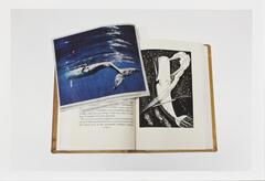 Image of a book lying open to a page featuring an illustration of a whale. A newsclipping featuring a photo of a whale lies on the book across the open page.  