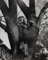 Image of a woman sitting in a tree at the point where the trunk forks. A scarecrow made of canvas sacks rests in her lap.
