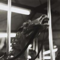 A close-up photograph of the head of a horse on a merry-go-round ride.