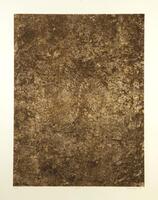 This print is a vertical rectangle in tones of grey, brown, and beige in a speckled pattern throughout that looks like the surface of rock or dried mud.
