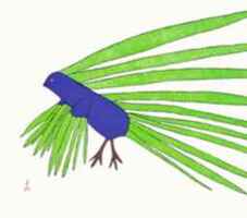 A blue bird-like creature with green feathers on its back and wings.&nbsp;