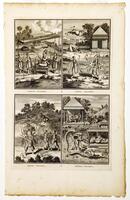 This print contains four distinct scenes demarcated by boxes which depict four different incarnations of a deity. 