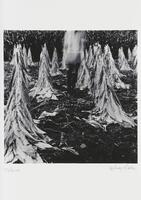 A black and white image of a figure in a tobacco field with the top half of the figure's body blurred. 