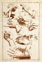 Eight hands and wrists, some male others female, are arrayed across this sheet in various gestures.