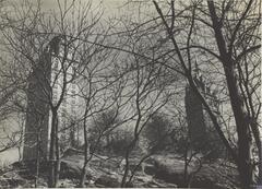 A black-and-white photograph of two buildings seen through the branches of numerous trees in the foreground.