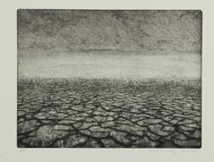 Black and white image of a desert with cracked earth.