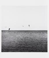 A black-and-white image of the horizon meeting the water with birds flying just above the water's surface.