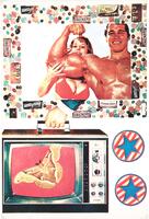 This color screenprint is separated into two main parts. At the top is a frame made out of unwrapped candy and wrapped candy bars with an image of a man flexing his arm, while a bikini-clad woman peeks from behind the bicep in the frame. The bottom half of the image has two blue and red stars, one on top of the other at the right, and a television to the left. The television has a handle at the top, with an arm coming from the upper candy-frame to hold the handle, and on the screen is a large moth on a red background.