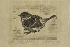 Print of a bird with brown, gray, and white feathers.