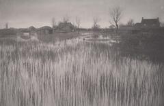 This photograph is horizontally oriented and portrays a marshy shoreline. The foreground is filled with rushes. The horizon line, in the upper portion of the work, depicts homes, a windmill in the distance, and patches of water. Bare trees also dot this outdoor scene.