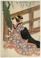This is a print of a woman seated on the ground next to a fence.  She wears a purple robe patterned with white and pink flowers and a black sash.  Her hair is elaborately decorated with ribbons and pins.  A tree grows near the fence behind her.<br />
 <br />
Inscriptions: Artist’s signature: Kunisada ga; Publisher’s seal: Kawagen (cut off); Censor’s seal: Kiwame (cut off); Tofuya Mibu (cut off) musume Omiya, Sawamura Tanosuke