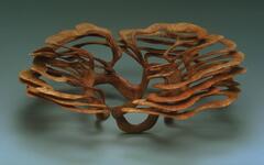 organic form consisting of thin concentric tendrils of wood