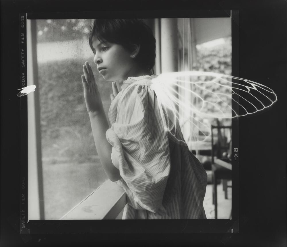 Black and white image of a child looking out a window with white wings superimposed on her back and a white insect watching her.&nbsp;