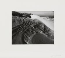 Black and white image of sand dunes and tall grass with shoreline in the background.&nbsp;