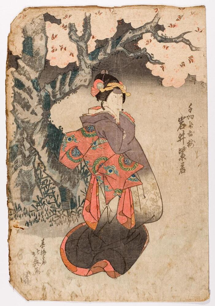In this print, a young woman stands underneath a flowering cherry tree.  She wears dark purple and grey robes with pink and brown trim and lining.  Her sash is red and decorated with blue and green designs.<br />
 <br />
Inscriptions: Artist’s signature: Hokuei ga; Publisher’s seal: Honsei; Chikiriya no Oume, Iwai Shijaku
